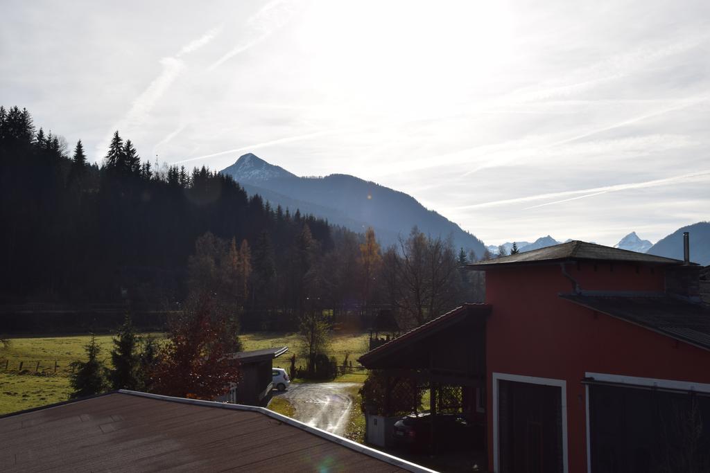 Ferienwohnungen Ellmer Flachau Exterior photo